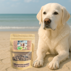 CBD gewricht koekjes, 100 gram