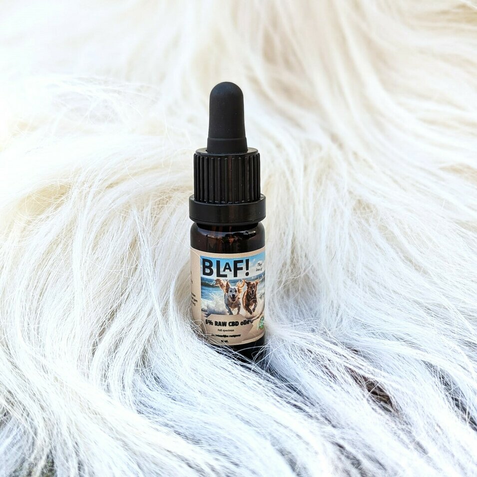 RAW-5-CBD-oil--full-spectrum-10-ml