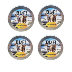 BLaF! CBD Honigsalbe, 4 Dosen